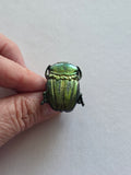 Gothic Scarab Beetle Ring - Handmade Resin Statement Ring